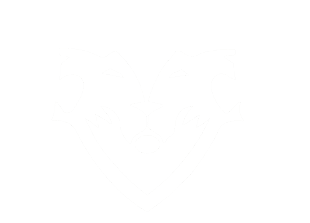 Tribus Dynamics logo